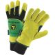 662909870704 LINED DEERSKIN GLOVE