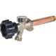 8IN WALL HYDRANT