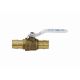 EPXV1 1IN BALL VALVE PEX A