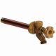 17CP-10-MH 10IN WALL HYDRANT