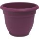 10IN PASSION FRUIT ARIANA POT