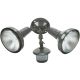 BRZ MOTION FIXTURE W/CVR
