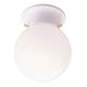 1BULB WH GLOBE FIXTURE