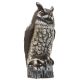 Owl Scare Birds Away