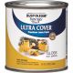 SUN YELLOW LATEX PAINT