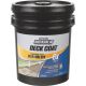 300123 5GL TINT BS 6X SEALER