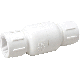 1/2IN PVC CHECK VALVE