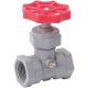 3/4IN CELCON GLOBE VALVE