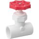 1/2IN PVC GLOBE VALVE