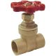 1/2IN SWT GATE VALVE