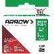 Staple 5/16in LD JT21 1000/pcs Arrow