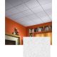 081098002886 2X2 LUNA CEILING PANEL