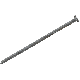 50LB 10D GALV DECK NAIL
