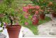 ISL Planter Round Plain Pot & Saucer 26" Earth