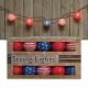 2262300 10CT PATRIOT LANT LIGHT