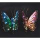 3813470 SOLAR BUTTERFLY