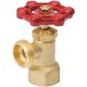 3/4IN FEMALE BOILER DRAIN
