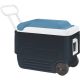 34061 40QT MAXCOLD ROLL COOLER