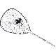 18X24 LANDING NET