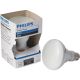 248765 65W BR30 SW IND FL BULB