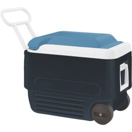 34061 40QT MAXCOLD ROLL COOLER