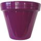 PCSBX-6-V-DIB 6IN PURPLE SPFVR CLAY POT