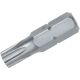 673765923183 1IN T10 TORX INSERT BIT