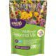 11520-6 2LB PERENNIAL FLOWER MIX