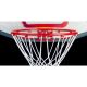 689344348049 BASKETBALL GOAL AND NET