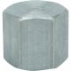 1/4IN GALV CAP