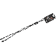 9706 LOGO CORD SUNGLASS LEASH