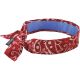 REDWSTRN COOLING BANDANA