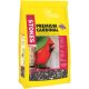 7LB CARDINAL SEED