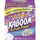 TOILET CLEANING SYSTEM