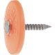 2M 2-1/2INPLASTC CAP NAIL
