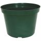 6IN GREEN GROWER POT