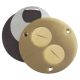 BRASS OUTLET COVER