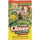 2LB CLOVER FORAGE