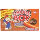 COPPER CHORE BOY