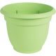 16in Ariana Honey Dew Planter
