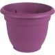 16 Ariana Passion Frt Planter