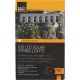 6741 100-CT SOLAR LED LIGHTS
