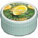 0045-010114 CTRS-SAGE DAYLGHT CANDLE