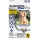 511115 DOG 44-UP F-T TREATMENT