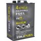 875750002327 GALLON 4-CYCLE FUEL