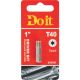 #40 1IN TORX INSERT BIT