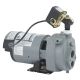 3/4HP CONV JET WELL PUMP