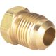 1/2IN FLARE PLUG