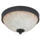 IFM375A11RA 2BLB ANT CEILING FIXTURE