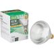 009326514369 38W PAR38 HAL FLOOD BULB